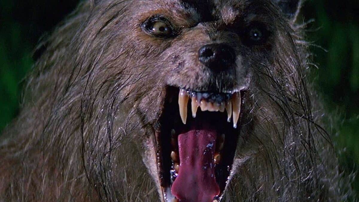Bad Moon Movie Review
